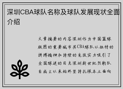 深圳CBA球队名称及球队发展现状全面介绍